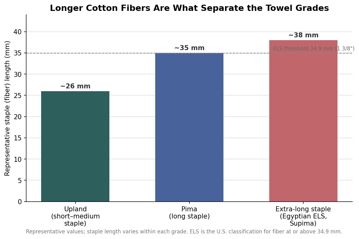 Bar chart of representative cotton staple length by grade: upland about 26 mm, Pima about 35 mm, extra-long staple about 38 mm, with the 34.9 mm ELS threshold marked